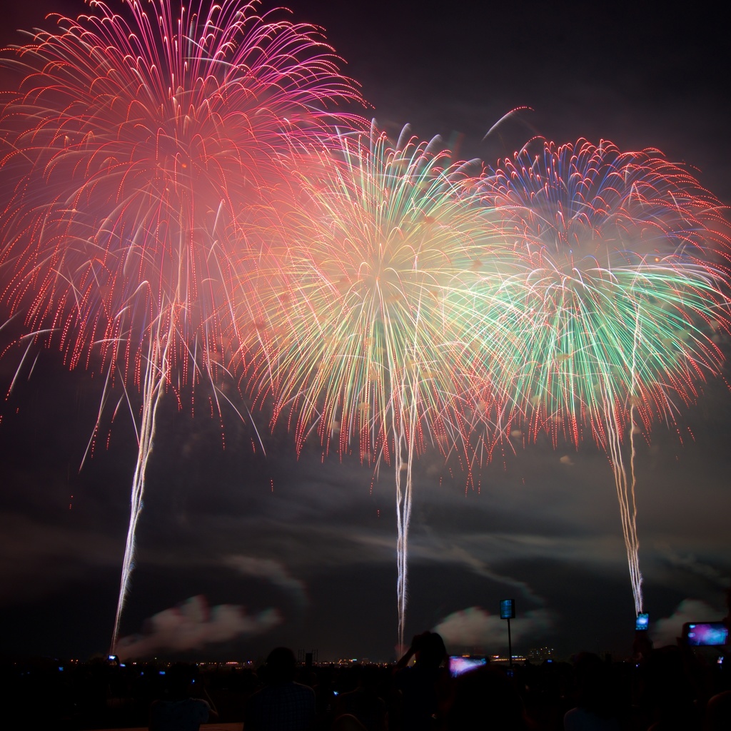 長岡まつり花火大会2015 Fig.1