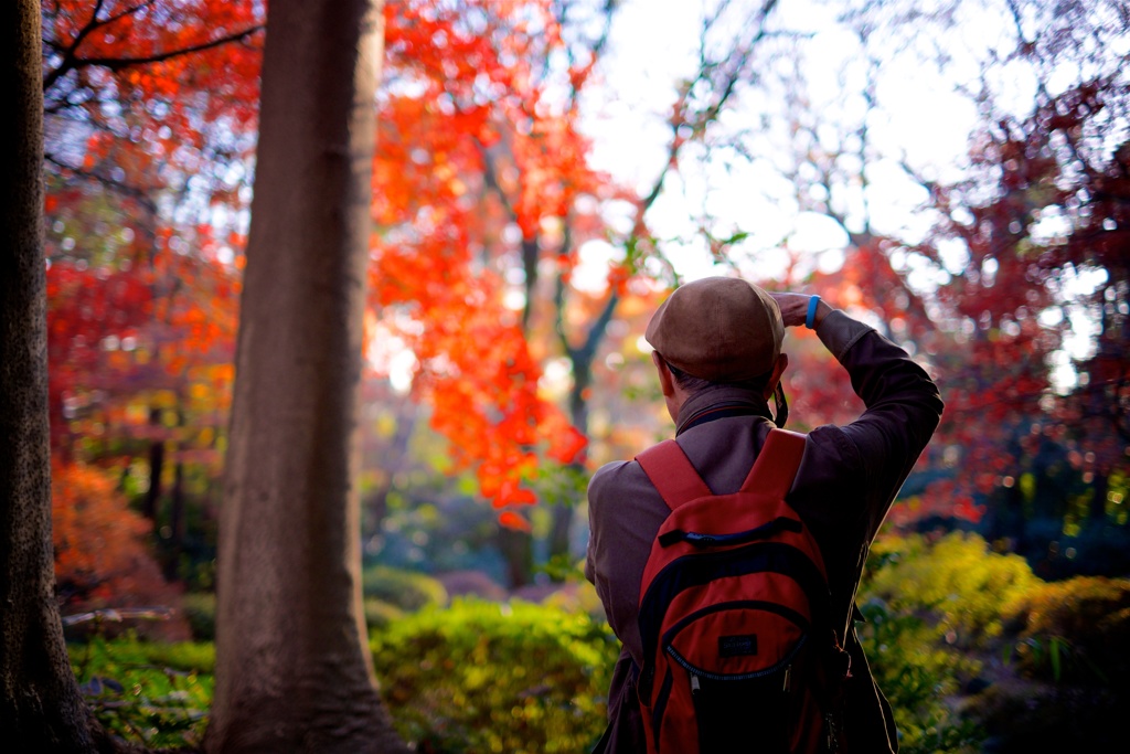 紅葉狩り.