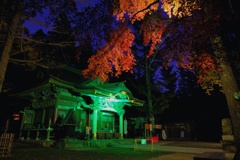 宝登山神社ライトアップ