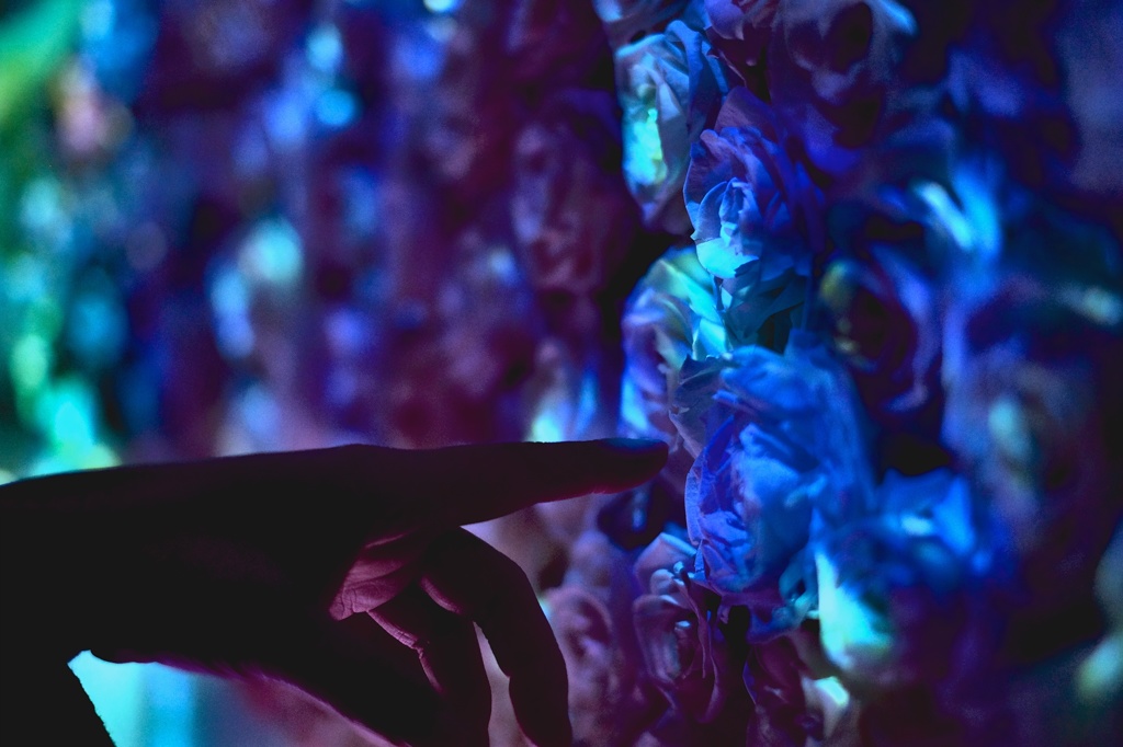 Touch.