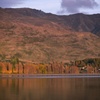 Wanaka.