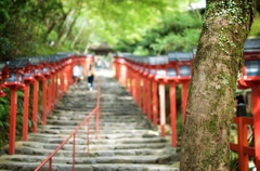 貴布禰神社.