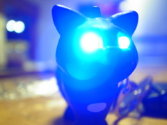 ねこ