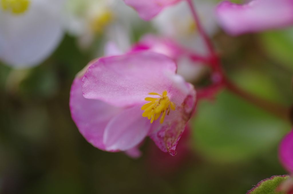 潤