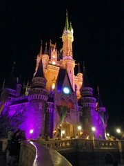 Ｎｉｇｈｔ Castle !!