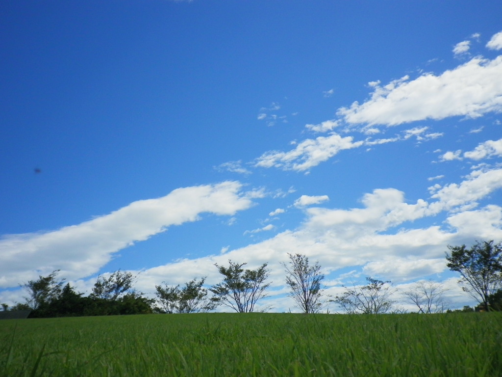 何気ない風景