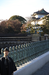 EOS 7D 441