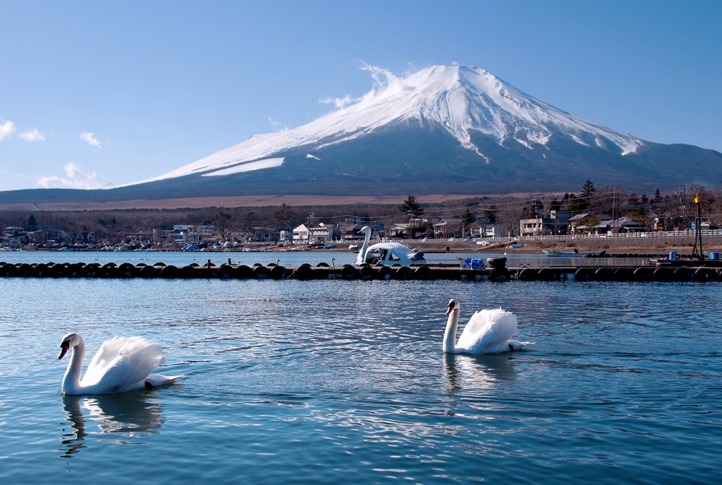 優　美　～　白鳥・富士山　～
