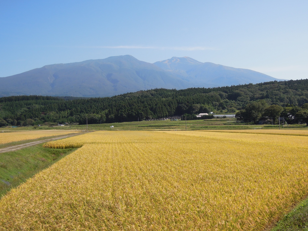 実りの鳥海山麓