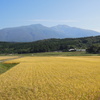 実りの鳥海山麓