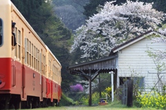 春の月崎駅