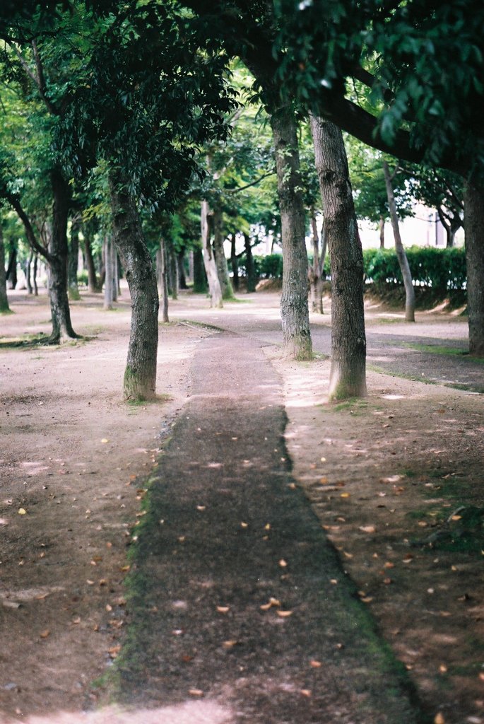 道