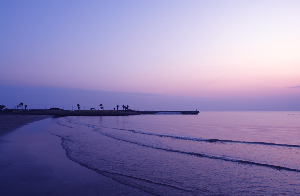 夕日