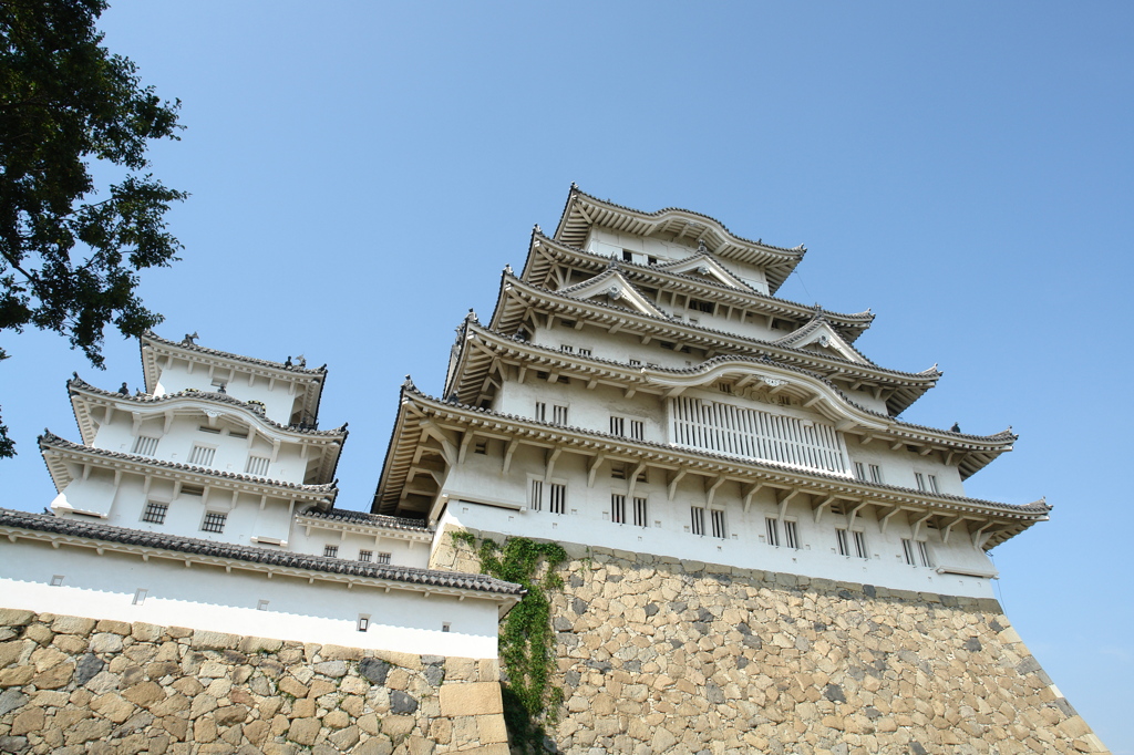 国宝