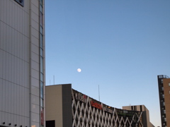昼の月