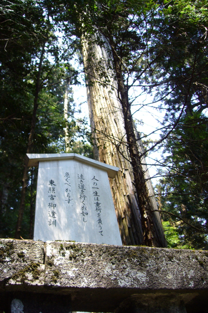 苦労味噌