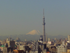 雪の富士山