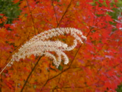 P1010180