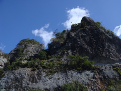 DSC00742