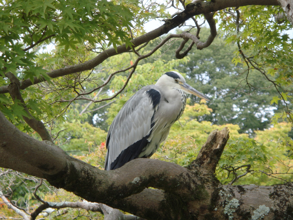 ひとやすみ