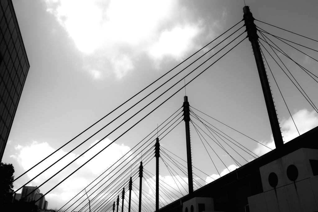 SDIM0576