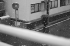 初雪の朝を往く