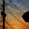 夕陽