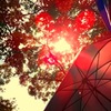 ピクニック