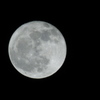 2012年2月8日　満月