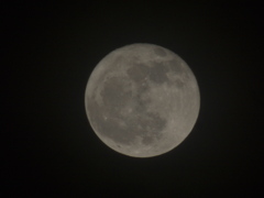 2012年2月8日　満月