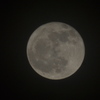 2012年2月8日　満月