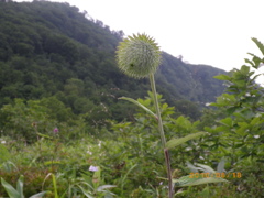 ぼくち