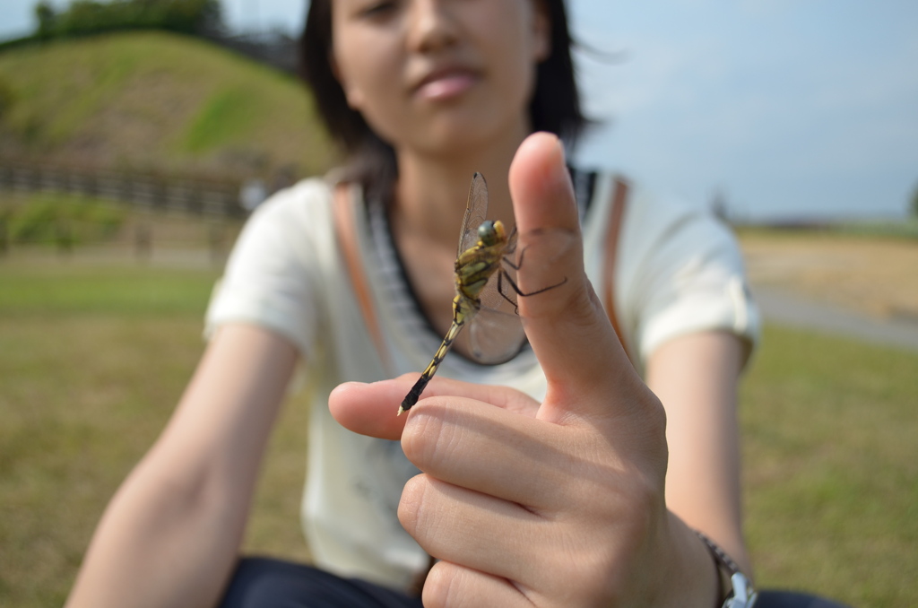トンボと友達
