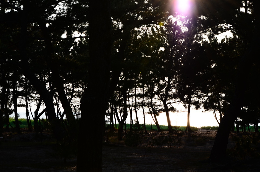 日が暮れるのを待ってるところで、バッテリー切れ(笑)