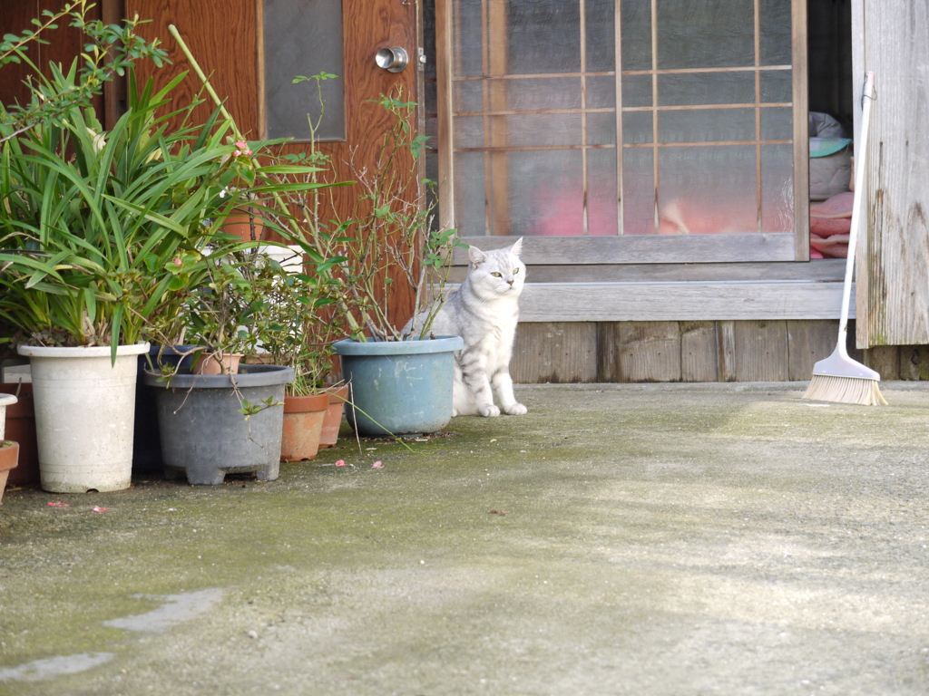 でもカメラのレンズが怖いらしい(笑)