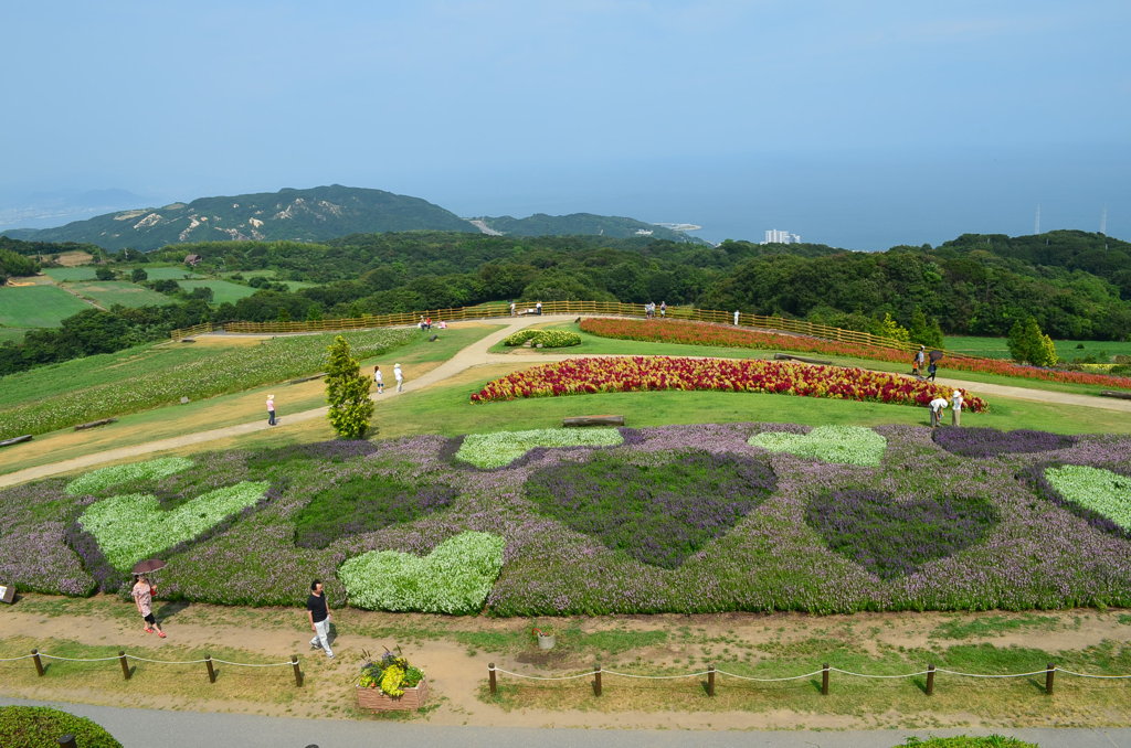 ハートだらけ～