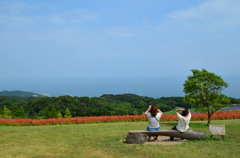 ええ風景じゃー！