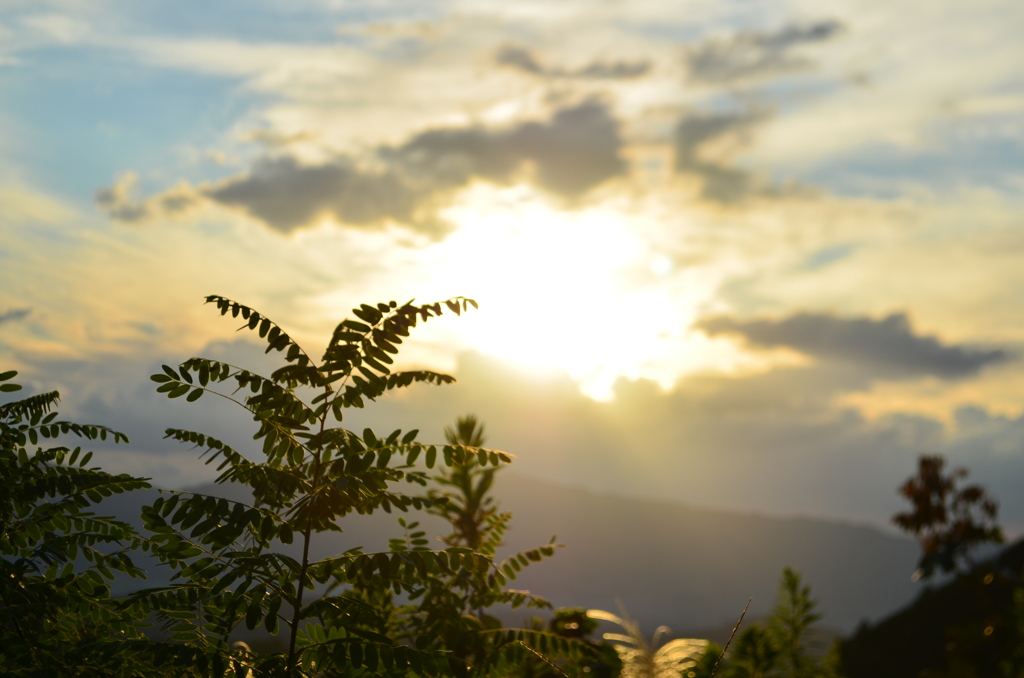 明日香村に来ました！
