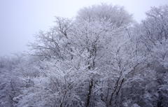 －１０℃