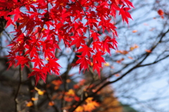 燃え尽きるぞ