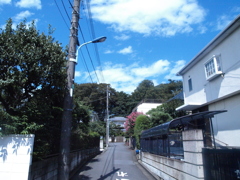 通い路