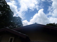 眩光