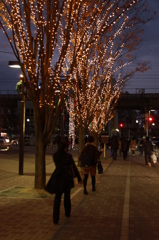 イオン京都　イルミネーション