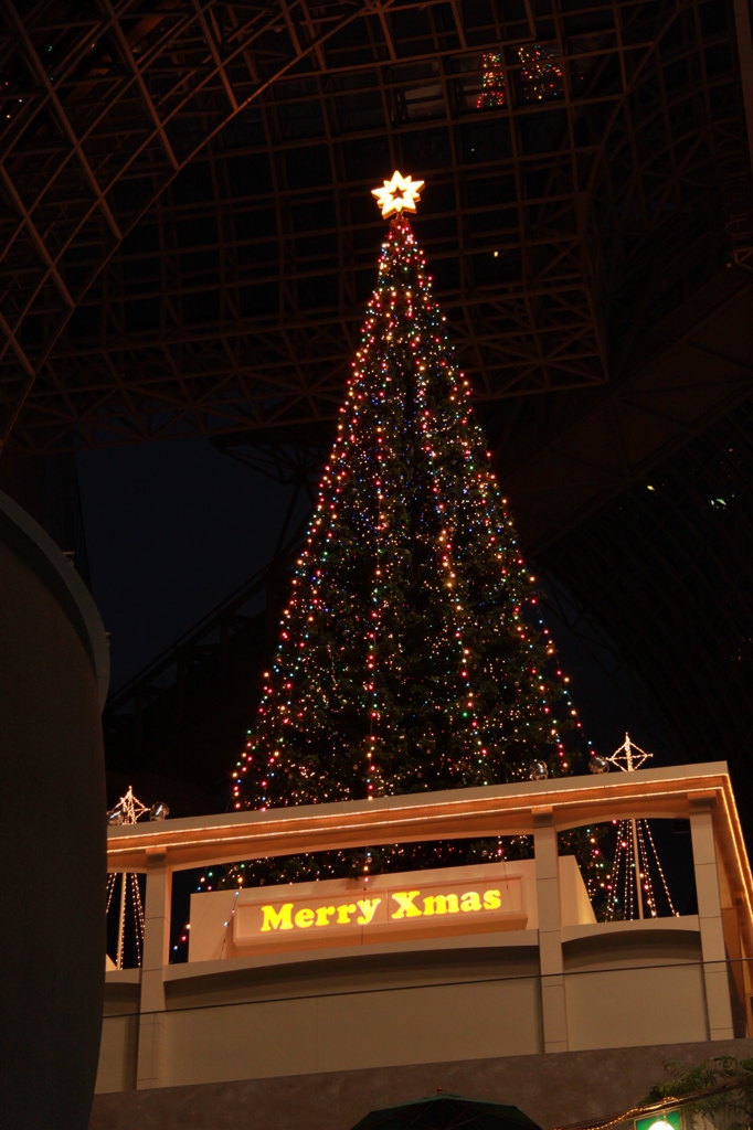 京都駅のクリスマスツリー