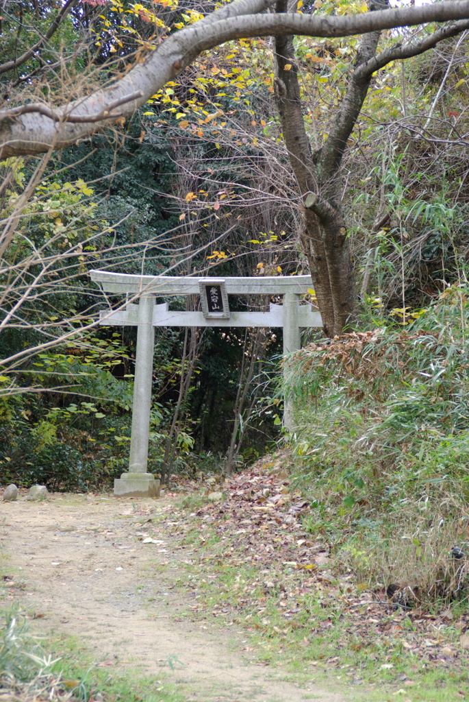 通れない鳥居