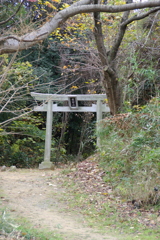 通れない鳥居
