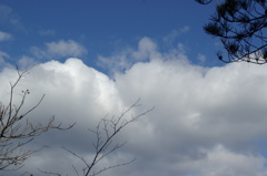 空