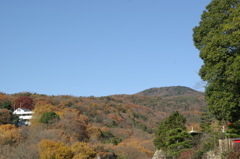 紅葉