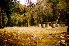 北の丸公園