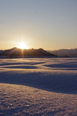 田んぼの向こうに沈む冬の夕日